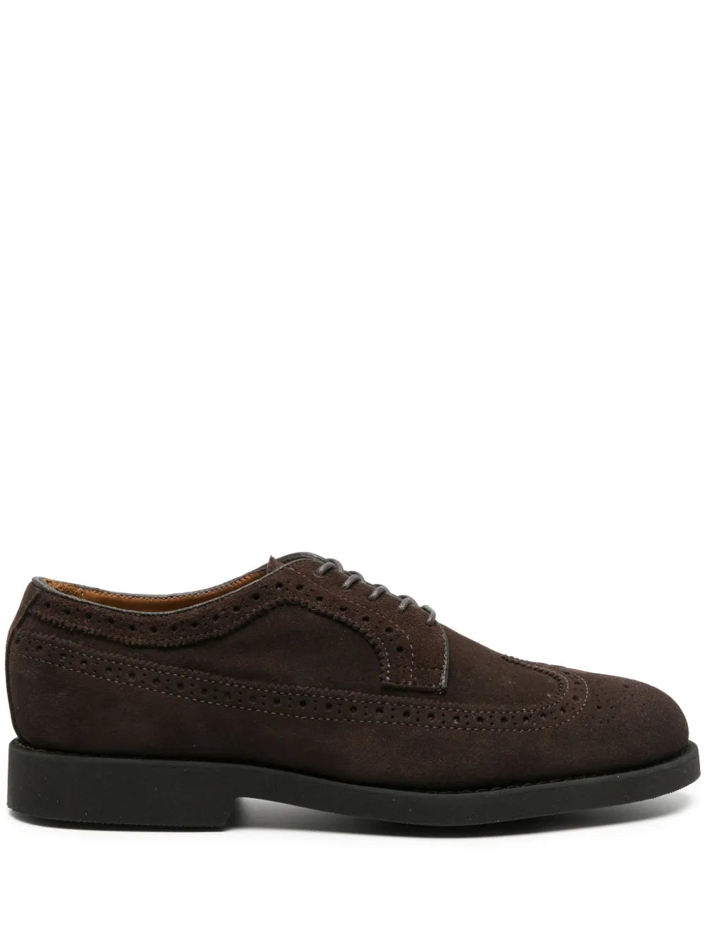 Sebago Canton suede brogue shoes