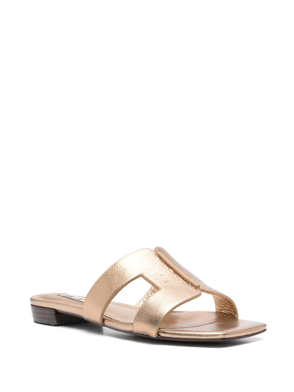 Bibi Lou Dahlia slides