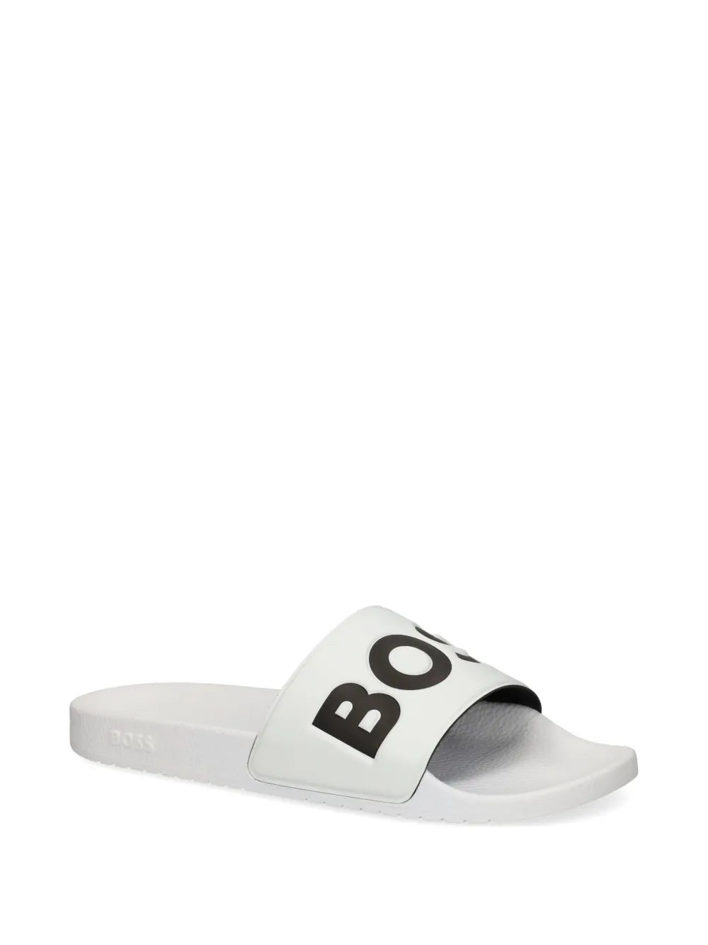 BOSS Aryeh slides