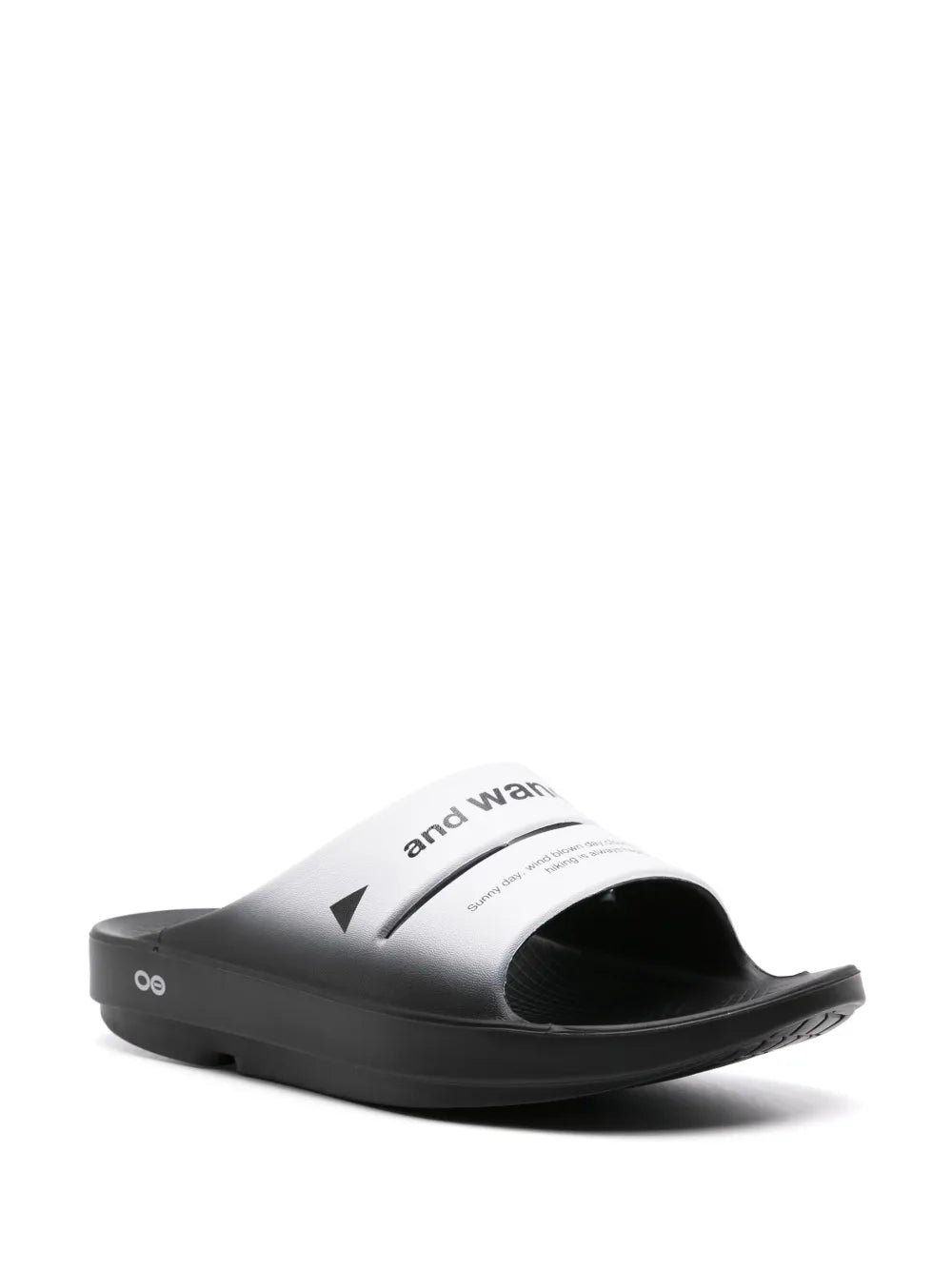 and Wander Ooahh logo-print slides