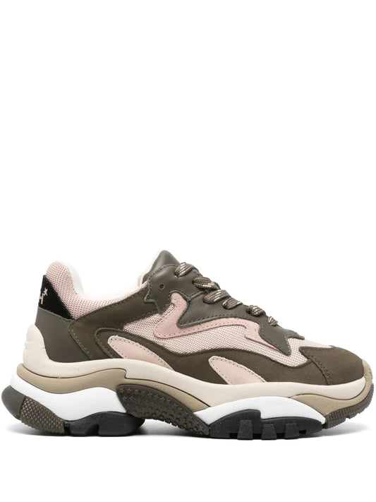 Ash Addict sneakers