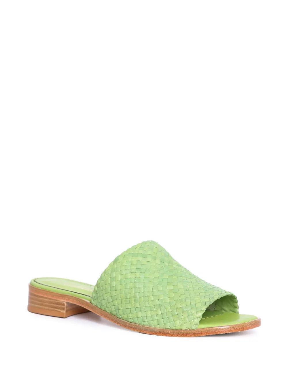 Sarah Chofakian Trama slides