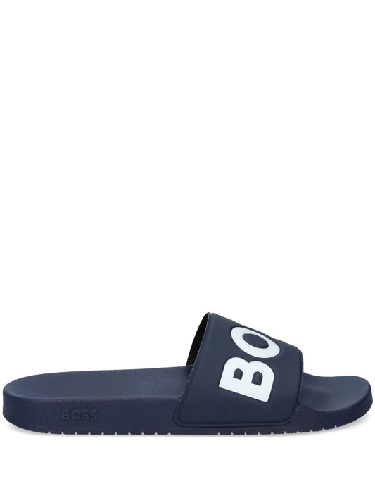BOSS Aryeh slides