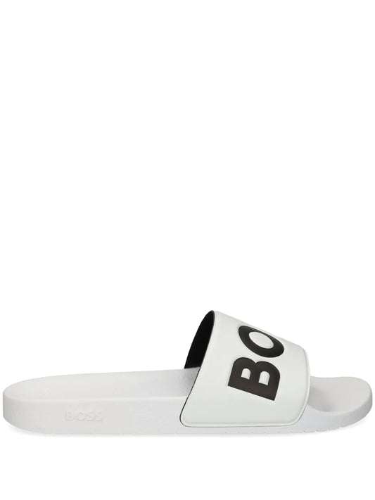 BOSS Aryeh slides